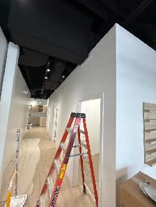 painter $25/h