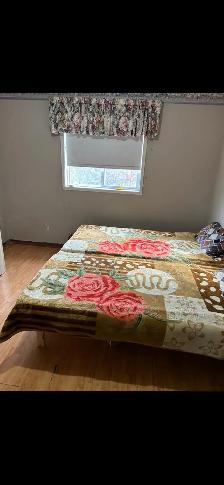 Basement for rent Brampton near Davis campus - Photo 3