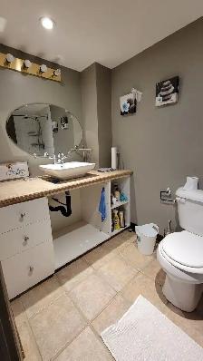 Basment Unit in a Townhouse is Chedocke - Photo 8