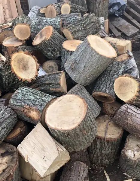 Half price Firewood  Hardwood $39 fill your pickup truck ...