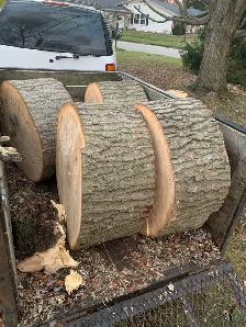 Half price Firewood  Hardwood $39 fill your pickup truck ... - Photo 2