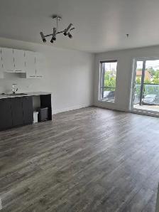 Superbe 3 1/2, Val-Bélair rue Escarpement Libre - Photo 2