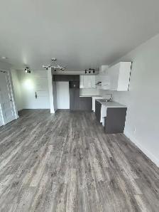 Superbe 3 1/2, Val-Bélair rue Escarpement Libre - Photo 3