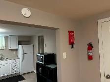 GREAT LOCATION FOR SERIOUS STUDENT, BRIGHT ROOM TO RENT - Photo 4