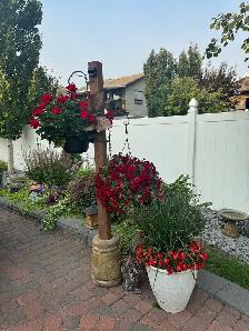 Caregiver needed - Photo 2