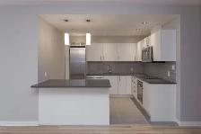 one bedroom apartment downtown near McGill - ID 2022