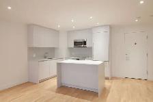 Downtown 2 bed apartment near McGill - ID 2818