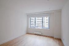 Downtown 2 bed apartment near McGill - ID 2818 - Photo 7