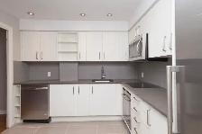 modern one bedroom apartment - near McGill - ID 4467 - Photo 4