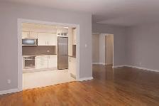 modern one bedroom apartment - near McGill - ID 4467 - Photo 5