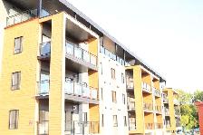 9771 Notre - Dame Ouest 3 1/2 1er Septreemb 2026 - Photo 6