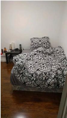 2 Bedroom Basement   2 parking spots for Rent - Photo 6