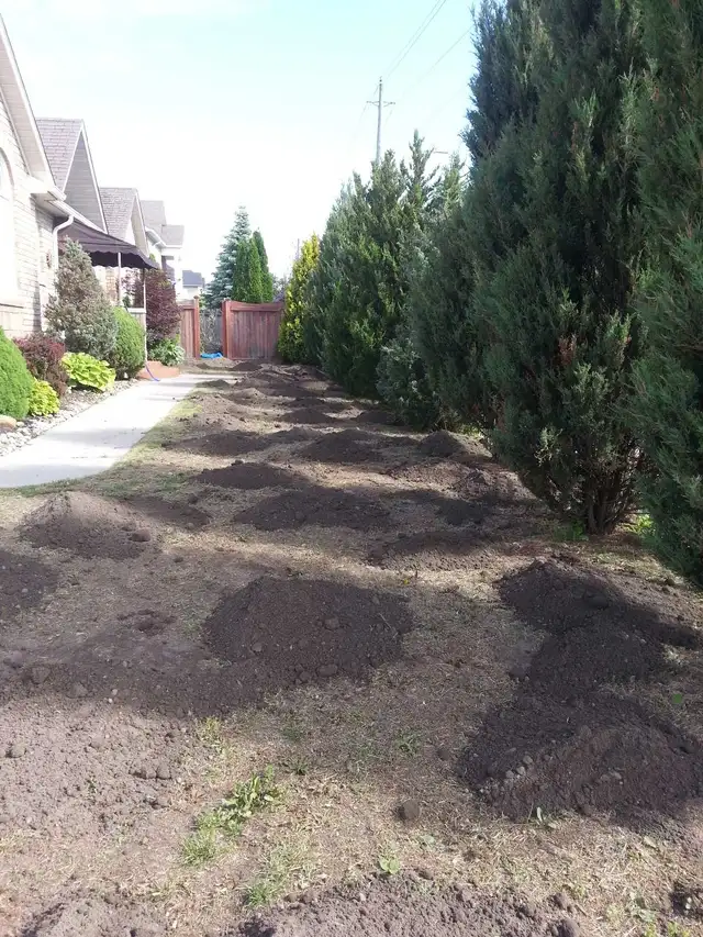 Affordable Lawn and Garden Services