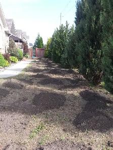 Affordable Lawn and Garden Services