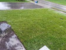 Affordable Lawn and Garden Services - Photo 2