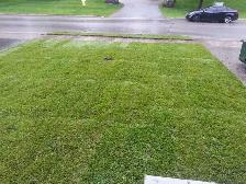 Affordable Lawn and Garden Services - Photo 3