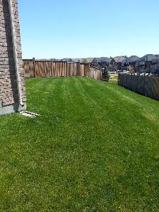 Affordable Lawn and Garden Services - Photo 4