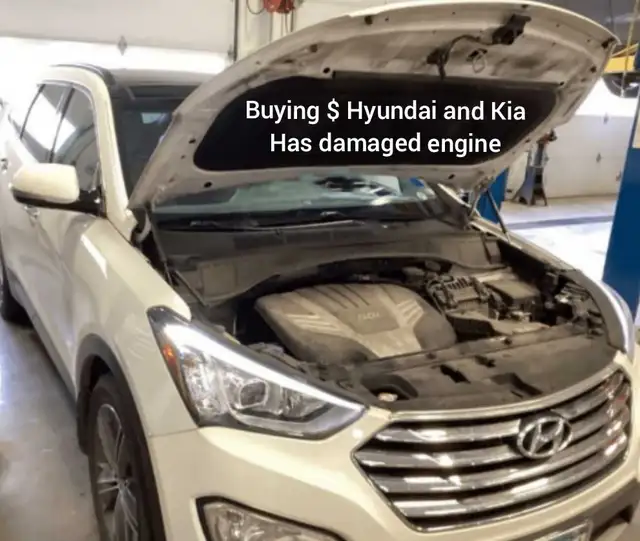 Buying : Hyundai and Kia / has damaged engine