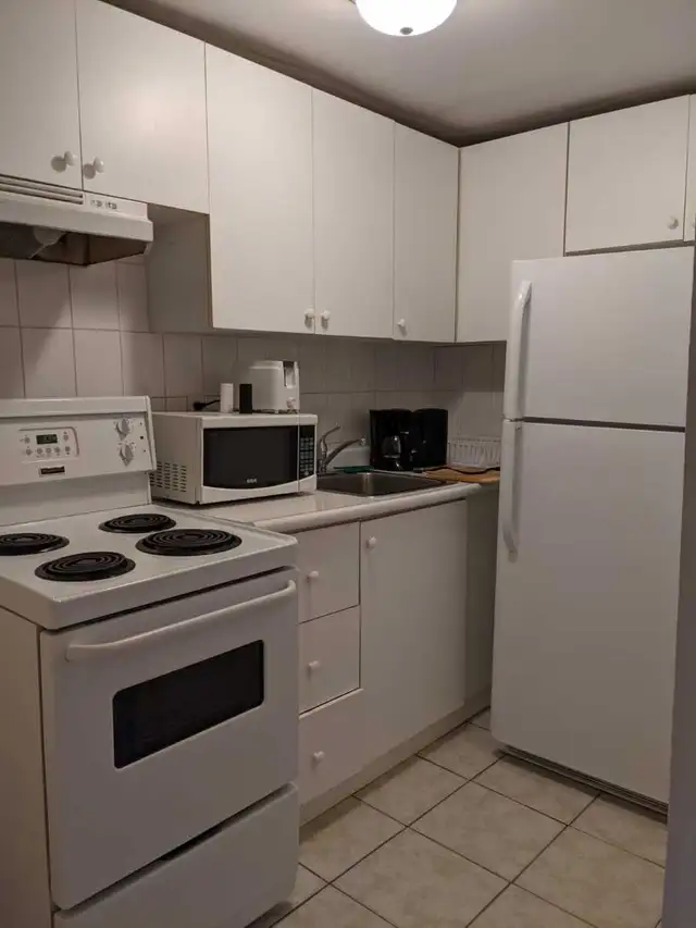 Large One Bedroom Apartment with a Loft in Downtown Toronto