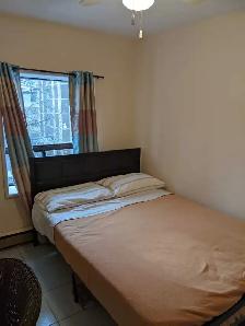 Large One Bedroom Apartment with a Loft in Downtown Toronto - Photo 4