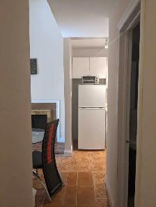 Large One Bedroom Apartment with a Loft in Downtown Toronto - Photo 6