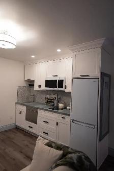 Completely Private Trendy Coach House Apartment in Oakville - Photo 4