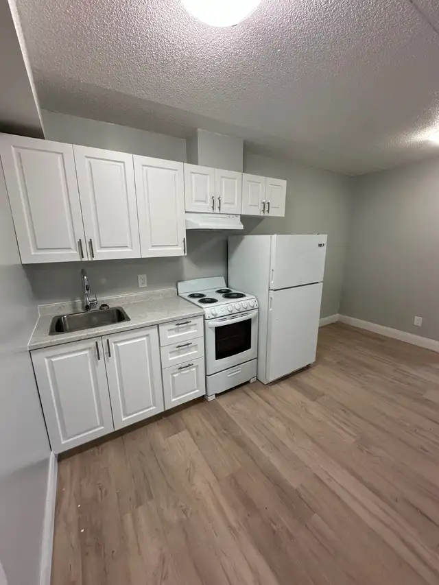 Newly renovated One Bedroom in Minnow Lake