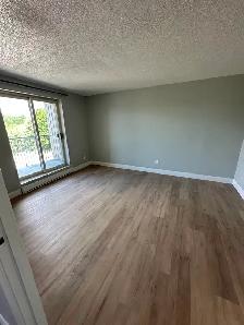Newly renovated One Bedroom in Minnow Lake - Photo 5