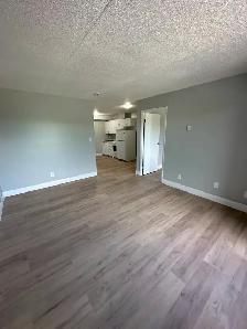 Newly renovated One Bedroom in Minnow Lake - Photo 6