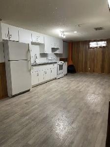 BRIGHT & BEAUTIFUL 4-Bed 2-Bath Home w/ Double Garage & Basement - Photo 10