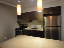 Beautiful Modern 2-Bedroom Apartment! - Photo 13