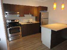 Beautiful Modern 2-Bedroom Apartment! - Photo 14