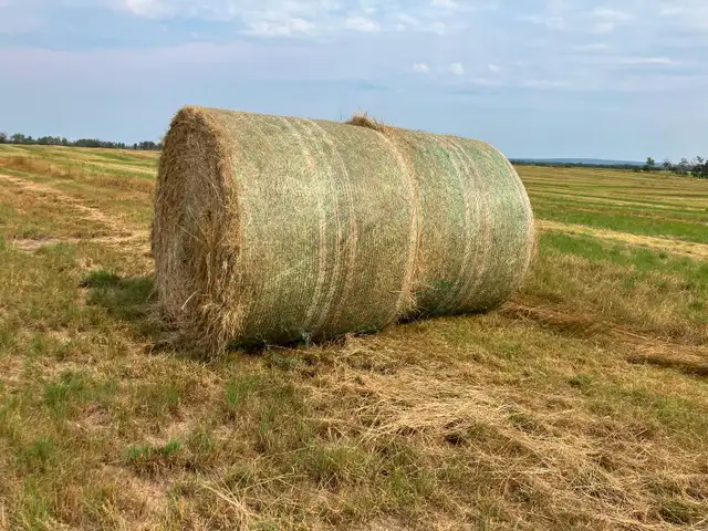 Grass aftermath hay bales