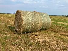 Grass aftermath hay bales