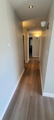 BEAUTIFULLY RENOVATED 2 BEDROOM-HEAT INCLUDED-PET FRIENDLY - Photo 4