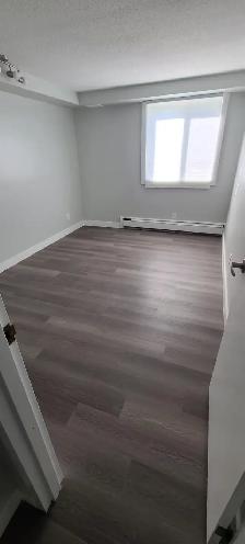 BEAUTIFULLY RENOVATED 2 BEDROOM-HEAT INCLUDED-PET FRIENDLY - Photo 8