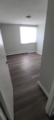 BEAUTIFULLY RENOVATED 2 BEDROOM-HEAT INCLUDED-PET FRIENDLY - Photo 9