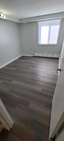 BEAUTIFULLY RENOVATED 2 BEDROOM-HEAT INCLUDED-PET FRIENDLY - Photo 10