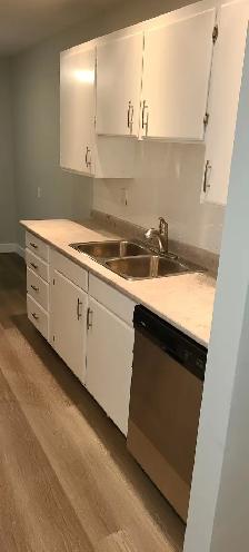BEAUTIFULLY RENOVATED 2 BEDROOM-HEAT INCLUDED-PET FRIENDLY - Photo 12