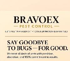 bugs out - Photo 2