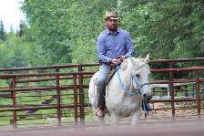 gelding for sale - Photo 2