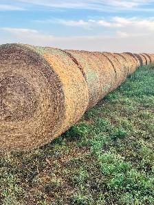 2026 Hay Bales - Photo 2