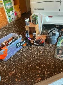 Halloween Decorations & Props - Photo 5