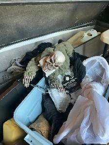 Halloween Decorations & Props - Photo 9