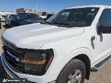 2025 Ford F-150 XLT w/BLIS, FX4 Pkg, and More! - Photo 8