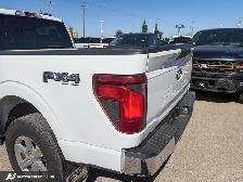2025 Ford F-150 XLT w/BLIS, FX4 Pkg, and More! - Photo 9
