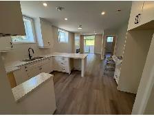 Brand new 2 bed 2 bath high end condos for lease Mountforest