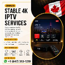 Multiple 4K Tv connection with Latest content