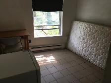 $488 Room with Own Address & Mailbox Facing Metro Place St HenrI - Photo 2