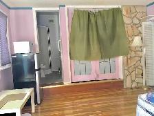 Nearby C-train station and UC Studio $980/month all- inclusive - Photo 3